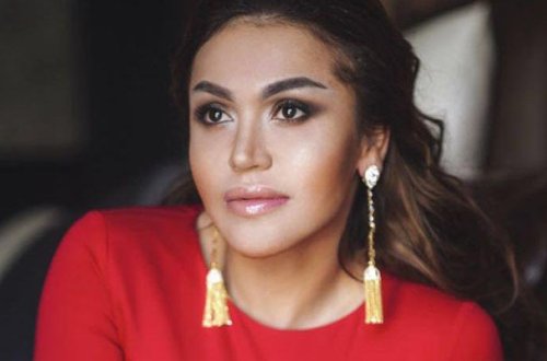 Azərbaycana yardım gətirən Rəqsanə ilə səfirlik işçisi əlbəyaxa oldu - ŞOK VİDEO