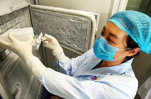 Viruslar bu soyuducularda saxlanılırmış - Çinlə bağlı yeni iddia