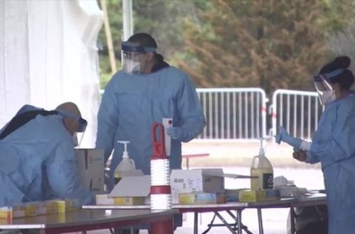 В США создали тест на COVID-19, не дающий ложноотрицательный результат