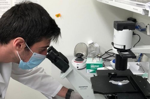 Azərbaycanlı alim koronavirusa qarşı vaksin hazırladı (MÜSAHİBƏ)