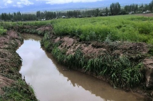 Məmurların Azərbaycan kəndlisinə yaratdığı problem: 