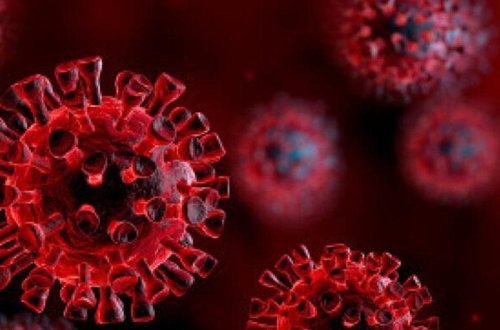 Professor koronavirus haqqında bəzi faktları açdı: 