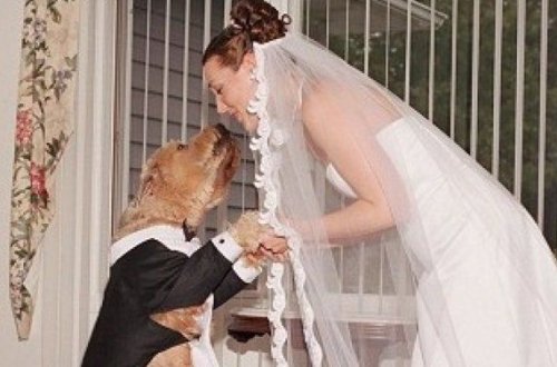 В США женщина вышла замуж за пса из-за денег