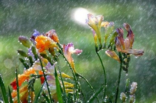 Sabahın havası: Yağış yağacaq, şimşək çaxacaq