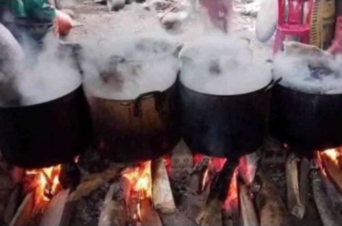 Dünya ŞOKDA: Qara pişikləri qaynadıb, koronavirus dərmanı hazırlayırlar - DƏHŞƏTLİ VİDEO