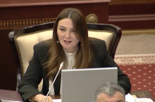 Qənirə Paşayeva Heydər Əliyev Fonduna və “Regional İnkişaf” İctimai Birliyinə təşəkkür etdi