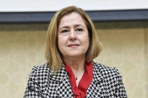 Ümumdünya Səhiyyə Təşkilatı Azərbaycanda koronavirusla bağlı son vəziyyəti açıqlayır - CANLI YAYIM