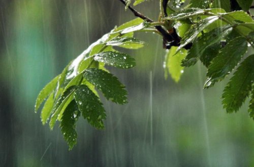 В некоторых районах Азербайджана завтра обещают дожди и грозы