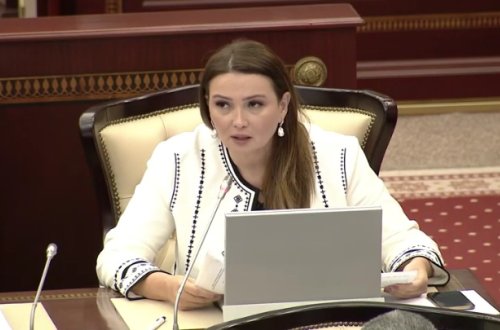 Qənirə Paşayeva eşitmə və danışma qabiliyyəti məhdud insanlar barədə danışıb