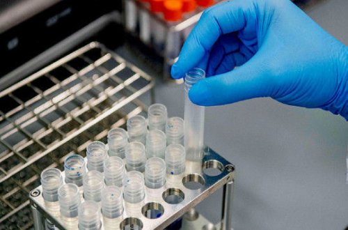 Израиль сообщил о серьезном прорыве в создании вакцины против COVID-19