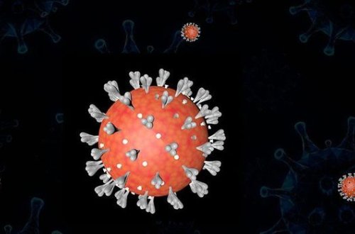 Ученые обнаружили, что коронавирус мутирует