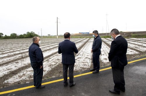 Kənd Təsərrüfatı naziri İnam Kərimov Bərdə və Tərtərdə əkin sahələrinə baxış keçirib