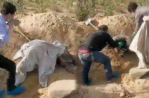 Diri-diri torpağa basdırılmış qadın üç gündən sonra qəbirdən sağ çıxdı - FOTO
