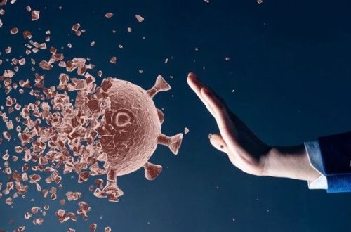 Названа категория людей с мощным иммунитетом к коронавирусу