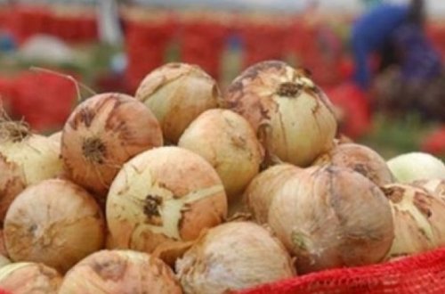 Азербайджан экспортирует лук в арабские страны