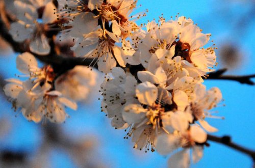 Sabahın havası: 31 dərəcə isti gözlənilir