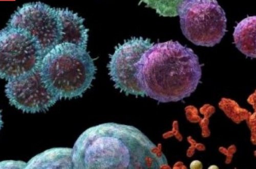 Diqqət! 4 gündən sonra koronavirus tamamilə YOX OLACAQ