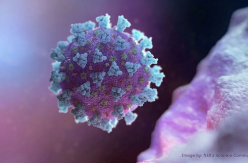 Британские ученые выяснили, какие факторы влияют на риск заражения коронавирусом