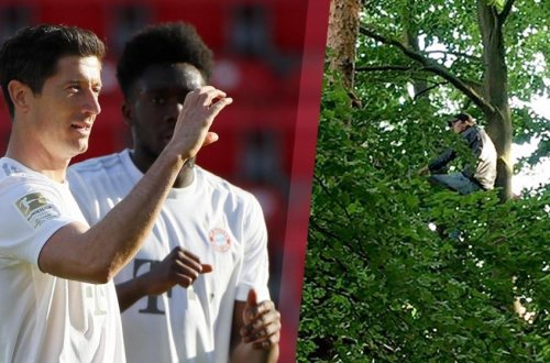 Bundesliqada maraqlı olay: Azarkeşlər oyunu izləmək üçün 12 metrlik ağaca çıxdılar (FOTO)