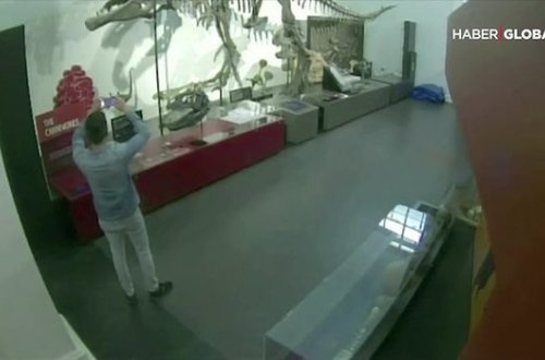 В Австралии мужчина проник в музей, чтобы сделать селфи с динозавром - ВИДЕО
