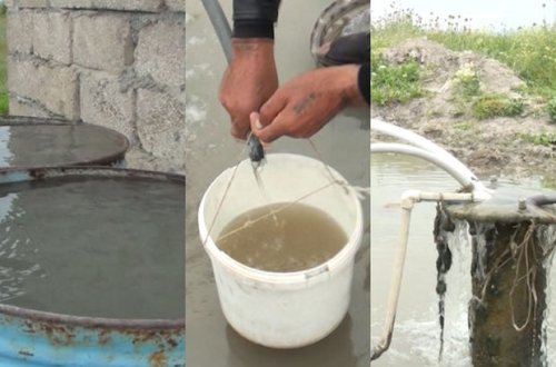 Kənd sakinləri məcburən təsərrüfat suyundan məişətdə istifadə edirlər - VİDEO