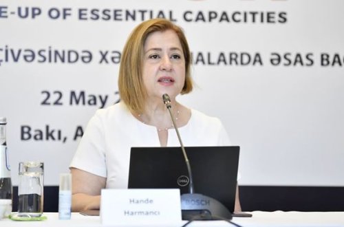 Ханде Харманджи: ВОЗ продолжит поддерживать Азербайджан в борьбе с пандемией