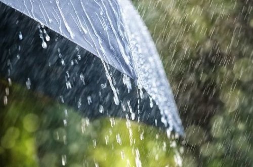 Завтра в ряде районов Азербайджана будет ветрено и дождливо