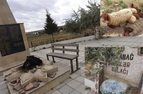 В Абшеронском районе у родника шехидов содержат стадо овец - ФОТО