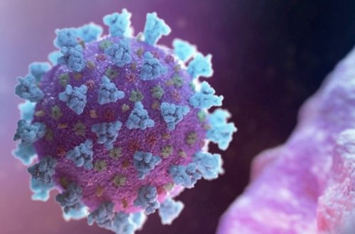 Раскрыта правда о смертоносности коронавирусов-мутантов