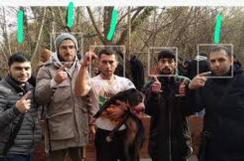 Azərbaycanda vəhşilik: Narkotik iynə vuraraq itləri bir-birlərinə yedirdirlər - VİDEO