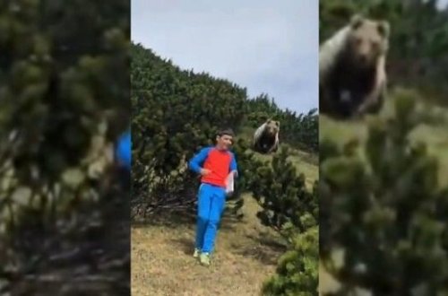 12-летний мальчик спокойно ушел от преследовавшего его медведя - ВИДЕО