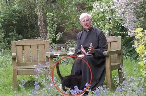 Keşişin səhər duası yaddan çıxdı, hamı ondan danışdı - VİDEO