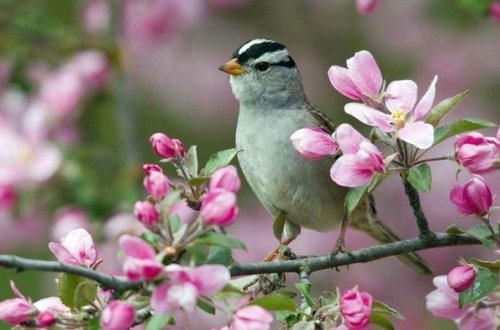Завтра в Баку ожидается погода без осадков
