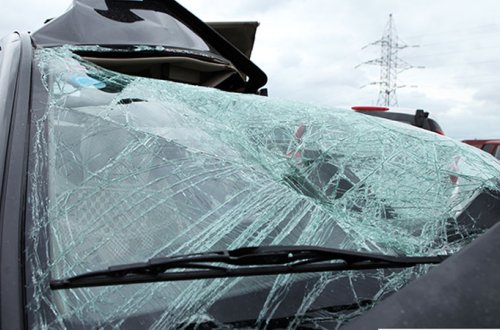 İcra başçısının biznesinə nəzarət edən 