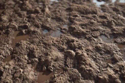 Qəbələdə bataqlıqda köməksiz qalan azyaşlı xilas edildi - YENİLƏNİB + FOTO