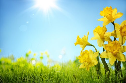 Sabah 37 dərəcə isti olacaq