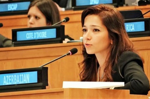 Xalça satdığı iddia olunan səfirin Nyu-Yorkda da mənzilləri üzə çıxdı — Həyat yoldaşı danışdı