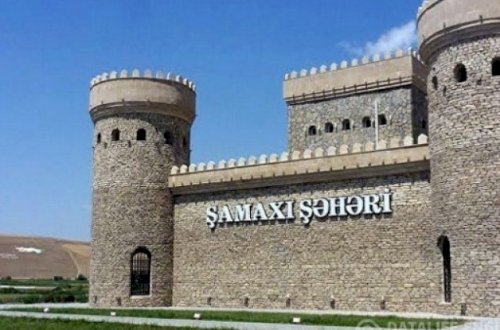 Şamaxıda kənd təsərrüfatına xüsusi diqqət göstərilir: 320 hektardan çox sahədə kartof əkilib