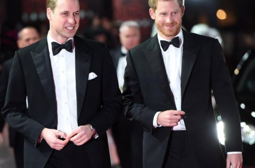 Принц Уильям отчаянно просит брата вернуться домой