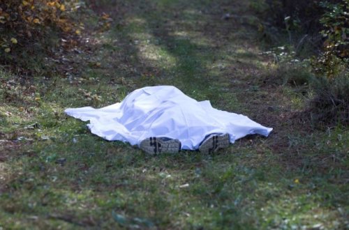 Göygöldə dəhşətli cinayət: Yeyib-içib dostlarını meşədə basdırdılar — ÖZƏL