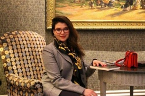 Azərbaycanın daha bir səfirinin Londonda şirkəti aşkarlandı - SƏNƏD