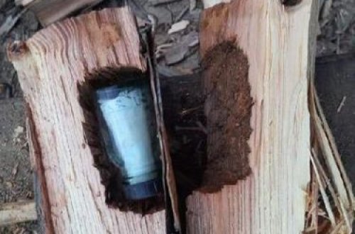 43 il sonra şam ağacından görün nə çıxdı: 150 illik evin... - FOTOLAR