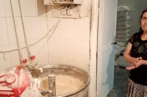 Gəncədə sərt karantin qaydalarını pozan çörək sexi aşkarlandı - FOTO