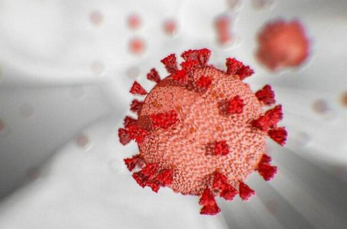 Koronavirusu sağaldan NADİR KƏŞF - Hələ heç kim bunu tapmayıb