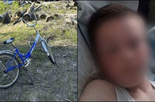 Üç gün ac-susuz tayqada qalan 10 yaşlı uşaq onlarla kilometr yol getdi və sağ qaldı - VİDEO