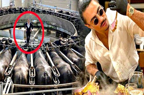 Məşhur aşpazın camış fermasında çəkdirdiyi şəkilini başına qaxınc etdilər - FOTO