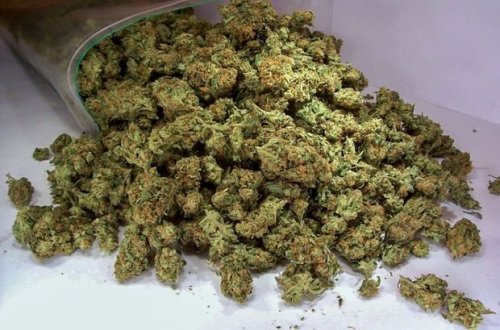 У жителя Баку изъято более 6 кг наркотиков