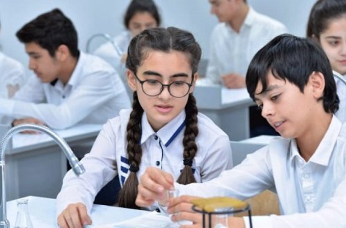 Изменился принцип работы альтернативных центров регистрации для поступления в I класс