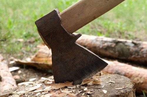 В Баку владелец объекта крупно оштрафован за вырубку деревьев