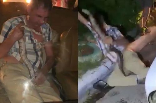 Sərxoş sürücü polisləri ilanla hədələdi - VİDEO